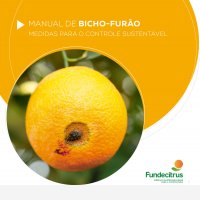 Bicho-furão