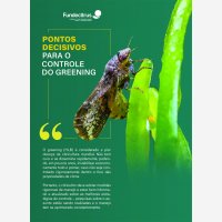 Pontos decisivos para o controle do greening  