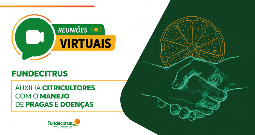 Fundecitrus auxilia citricultores com o manejo de pragas e doenças por meio de reuniões virtuais