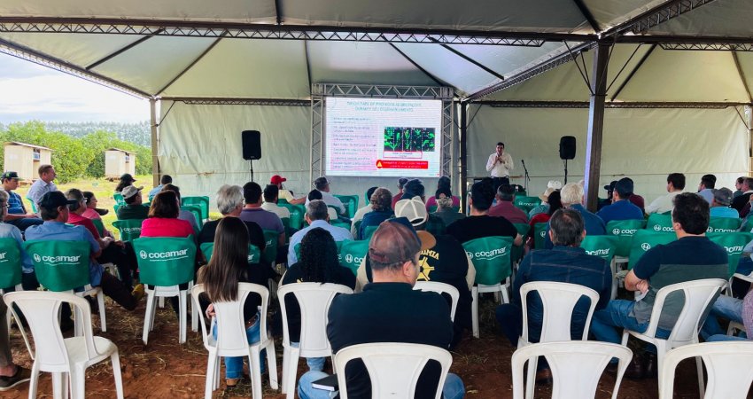 Greening é tema de encontro com citricultores em Guairaçá