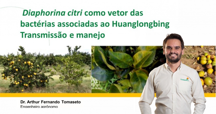 Greening é tema de palestra online para alunos do Paraná
