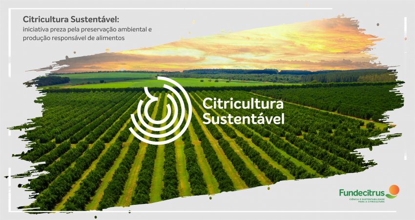 Citricultura Sustentável: iniciativa preza pela preservação ambiental e produção responsável de alimentos