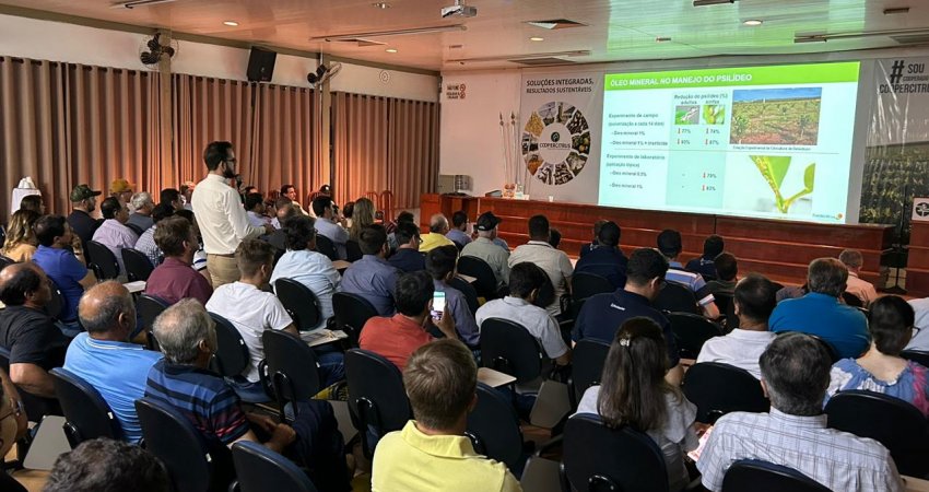 Citros em Foco alerta para aumento de greening na região de Bebedouro (SP)