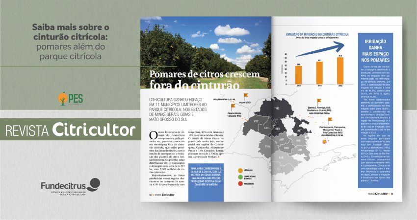 Citricultura em expansão: pomares crescem além do parque citrícola