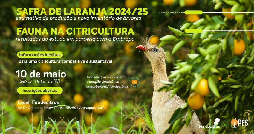 Fundecitrus divulgará estimativa da safra de laranja 2024/25 em 10 de maio