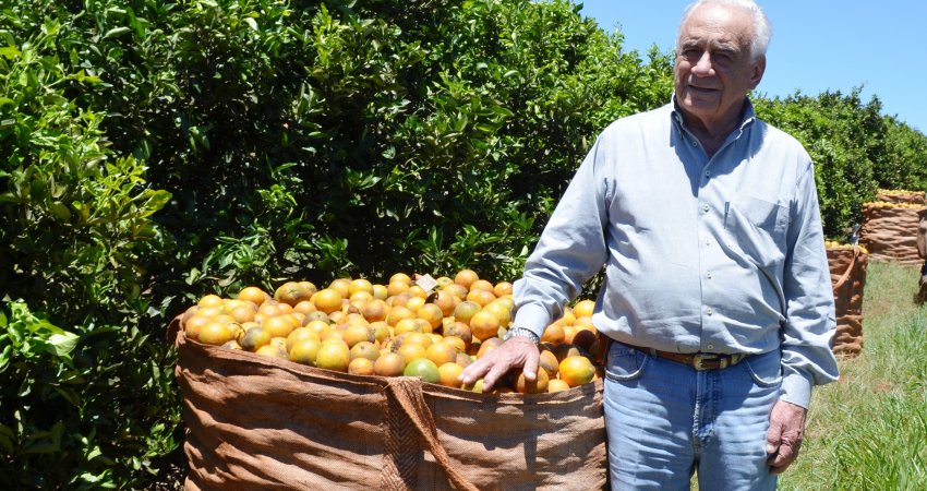 Artigo do presidente: O HLB é a bola da vez