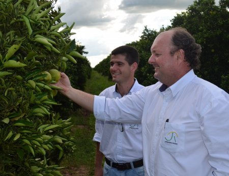 Adoção do pacote de manejo reduz índice de HLB em 73% nas fazendas do grupo Junqueira Rodas
