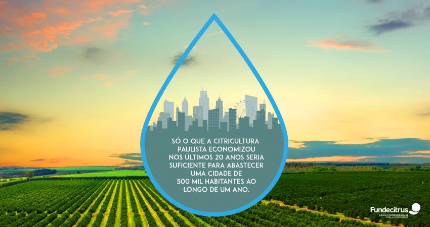 Resultados de pesquisas proporcionam economia de água na citricultura paulista