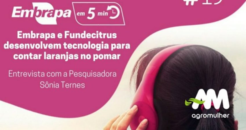 Fundecitrus e Embrapa trabalham em tecnologia para automatizar contagem de frutos da estimativa da safra; assunto é tema de podcast