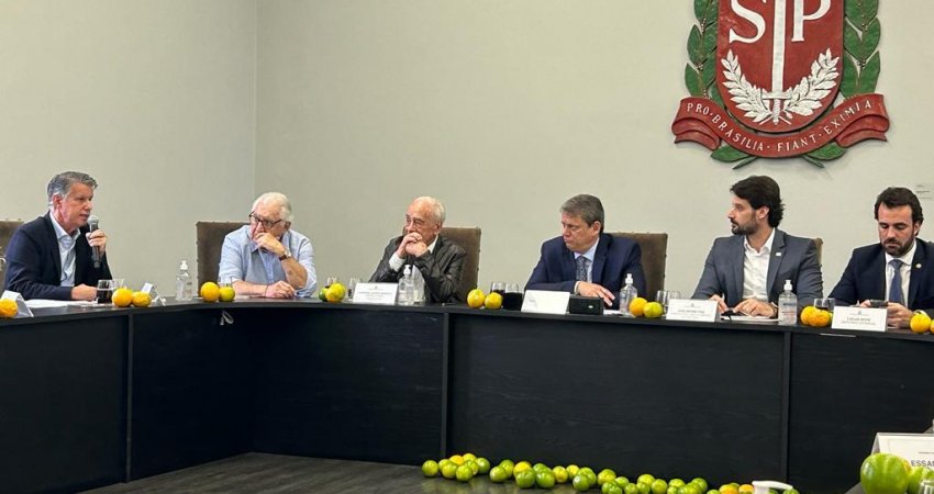 Governador de SP anuncia criação de Comitê Estadual para conter avanço do greening