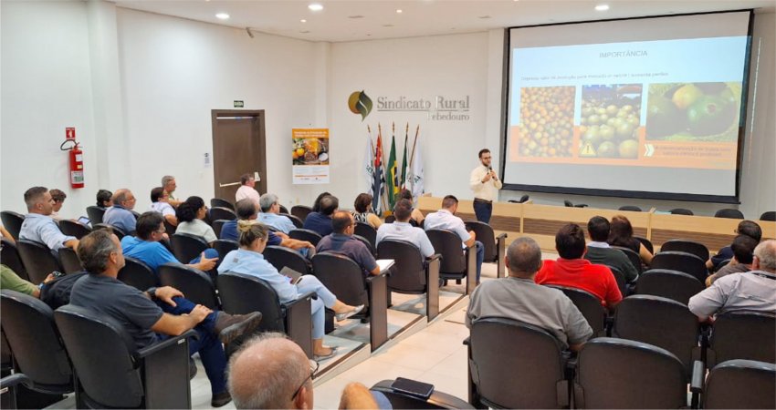 Técnicos da CDA recebem treinamento para manejo do cancro cítrico