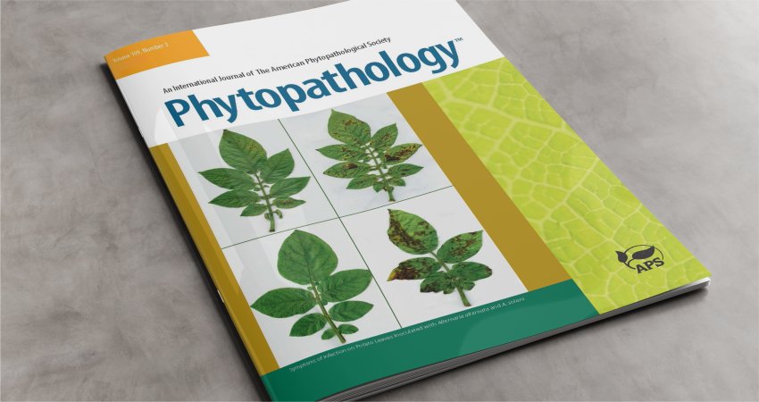 Artigo de pesquisadores do Fundecitrus e da Espanha é destaque entre os mais citados da revista Phytopathology