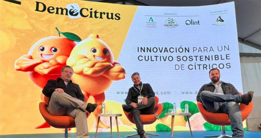 Evento sobre greening, inovação e sustentabilidade para cultivo de citros reúne representantes do setor citrícola em Sevilha, na Espanha