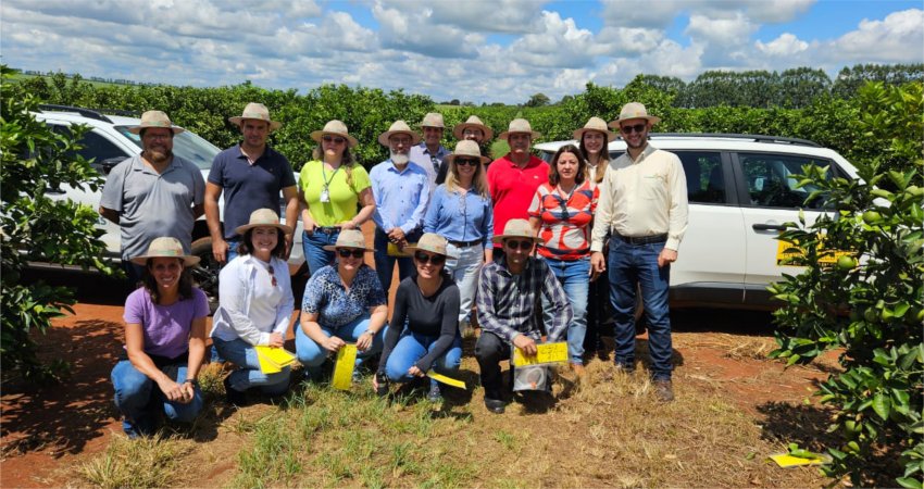 Técnicos da Agrodefesa de Goiás fazem treinamento com o Fundecitrus