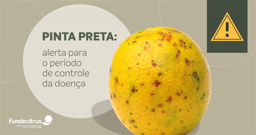 Alerta para o período crítico de pinta preta: momento exige manejo adequado com produtos eficientes