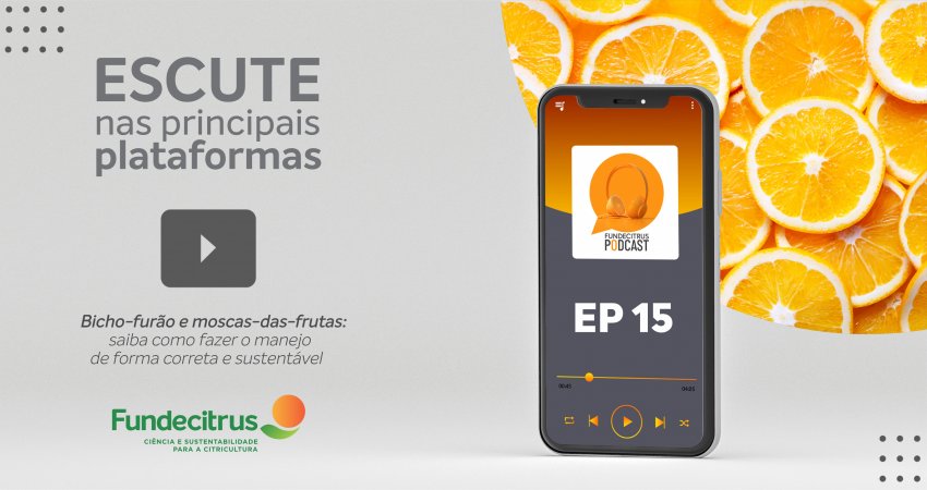 Fundecitrus Podcast reforça estratégias de manejo sustentável para bicho-furão e moscas-das-frutas