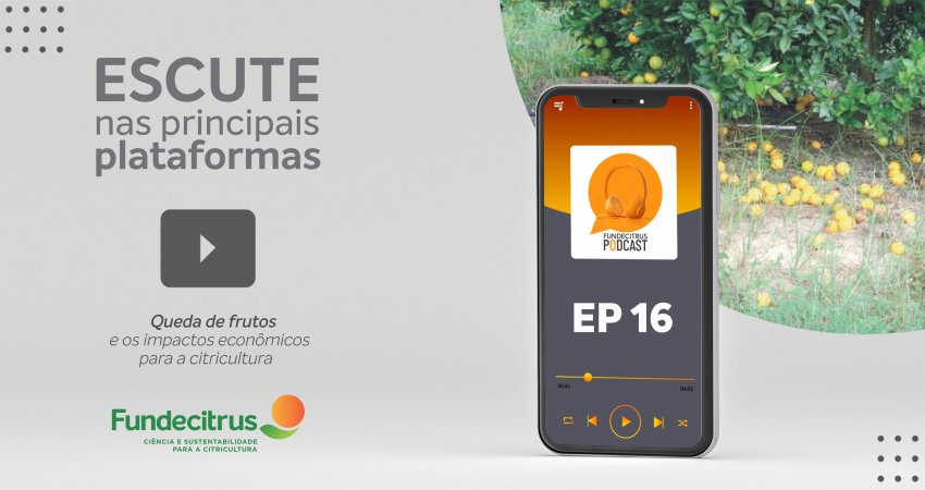 Fundecitrus Podcast: combate à queda de frutos exige manejo eficiente para reduzir prejuízos no pomar