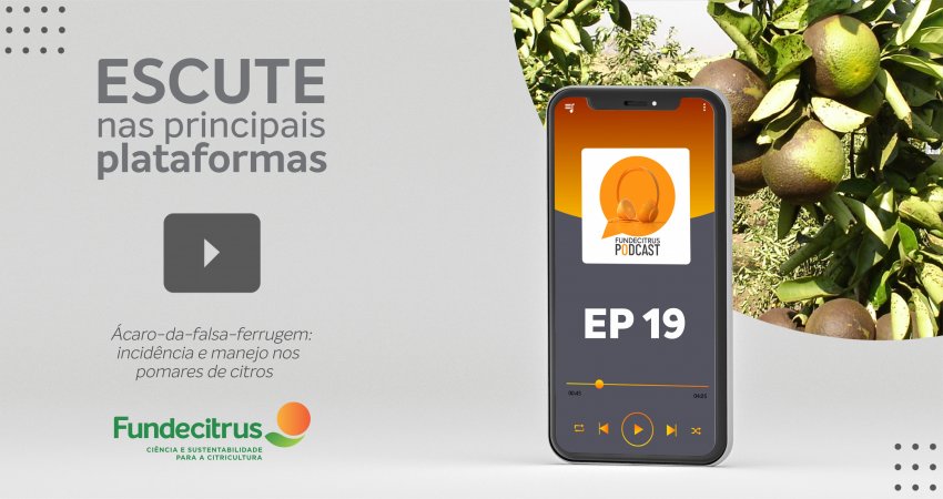 Ácaro-da-falsa-ferrugem é o tema do 19º Fundecitrus Podcast