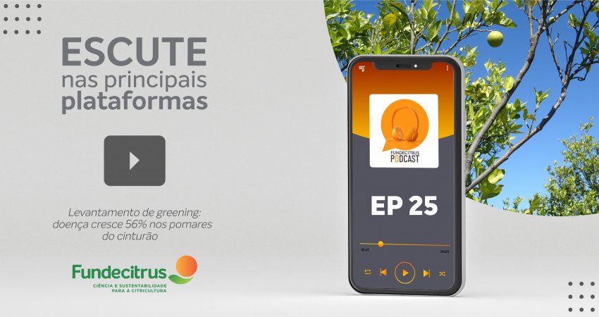 Fundecitrus Podcast traz detalhes sobre o levantamento anual de greening; doença cresceu 56%