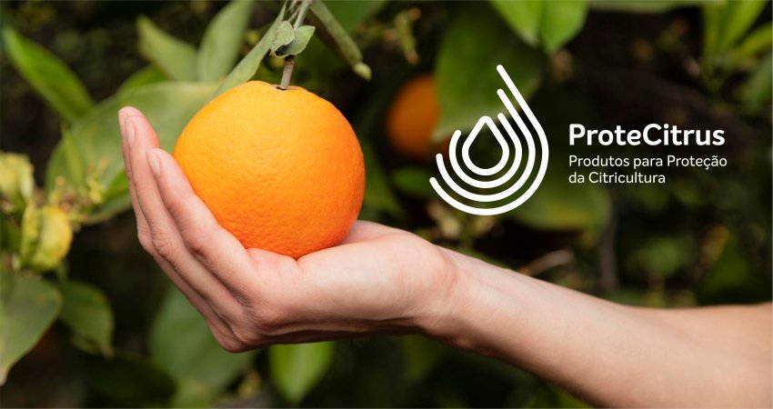 Lista ProteCitrus passa pela primeira atualização de 2024