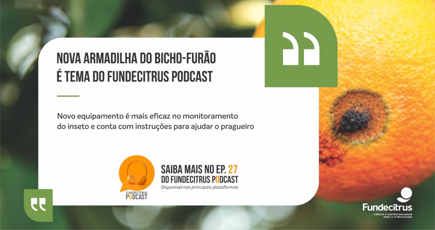 Nova armadilha do bicho-furão é tema do Fundecitrus Podcast