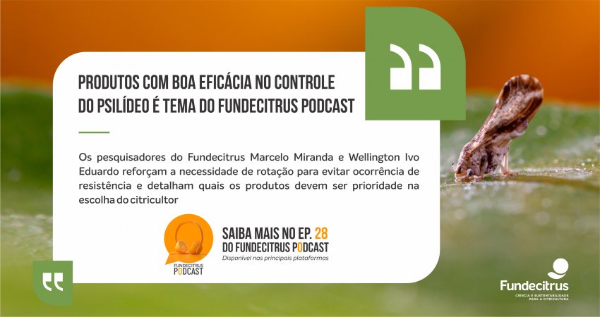 Produtos com boa eficácia no controle do psilídeo é tema do Fundecitrus Podcast