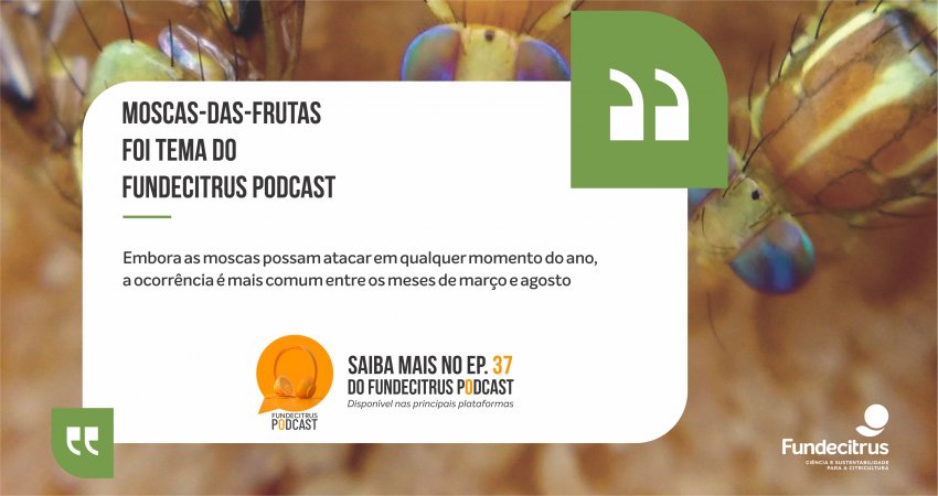 Moscas-das-frutas foi tema do Fundecitrus Podcast