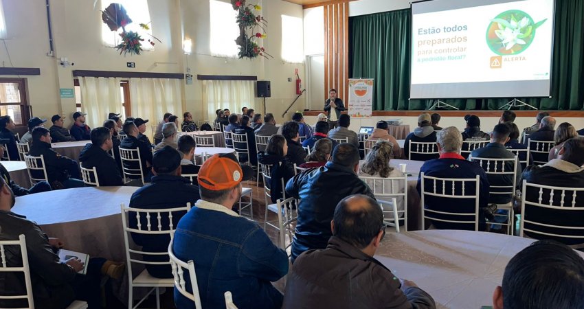 Evento sobre podridão floral, cancro cítrico e queda de frutos reúne diversos profissionais na região Sudoeste do cinturão citrícola