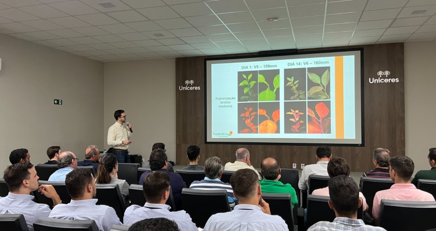 Encontro sobre manejo do greening reúne citricultores em Monte Azul Paulista (SP)