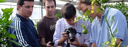 Professores de universidade do Paraguai visitam Fundecitrus para conhecer pesquisas sobre greening (HLB)
