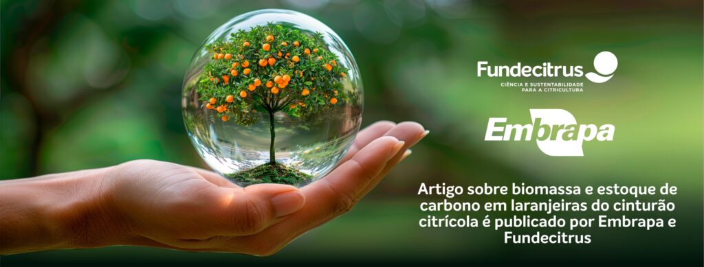 Artigo sobre biomassa e estoque de carbono em laranjeiras do cinturão citrícola é publicado por Embrapa e Fundecitrus