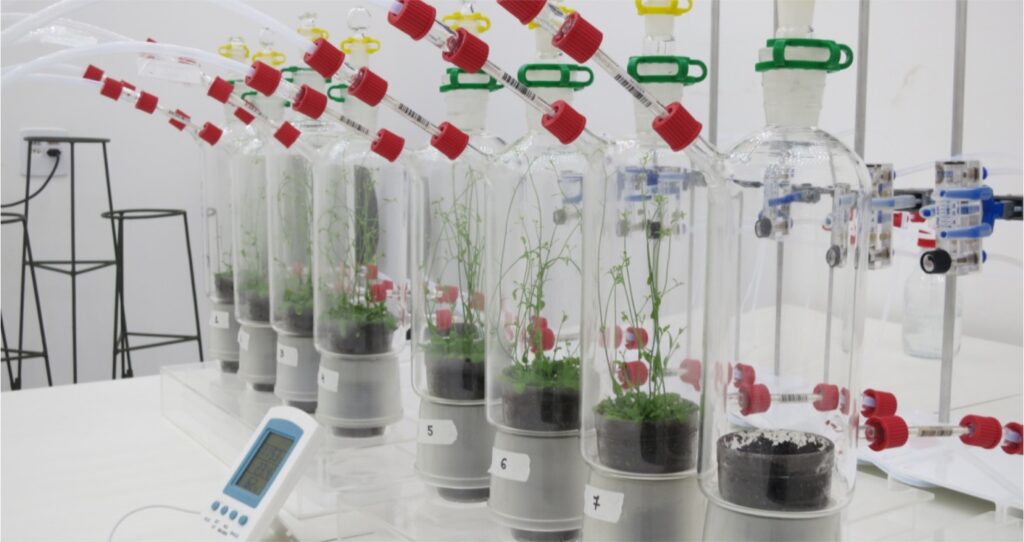 Legenda foto: Para garantir que os insetos fossem expostos aos aromas de forma semelhante ao que ocorre na natureza, os cientistas desenvolveram e aperfeiçoaram um difusor para disseminar os compostos onde o inseto fica confinado e faz escolhas a favor ou contra os aromas ofertados (foto: Fundecitrus)