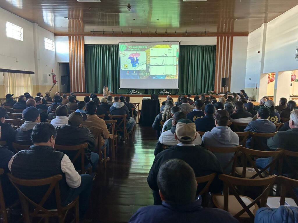 Citros em Foco de Campos de Holambra (SP) fala sobre greening e podridão peduncular