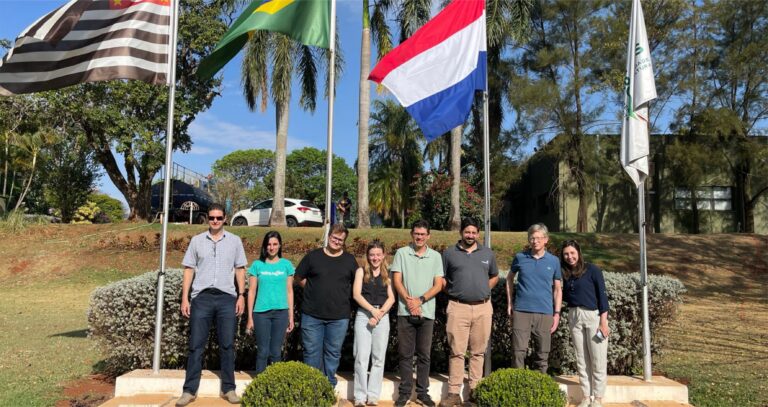 Parceria internacional impulsiona pesquisa com extratos vegetais no combate ao cancro cítrico