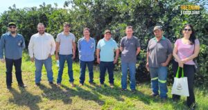 Fundecitrus se reúne com citricultores de Sud Mennucci (SP) para intensificar estratégias de combate ao greening