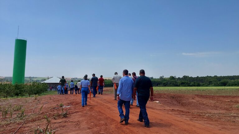 Dia de Campo em Bebedouro (SP) destaca manejo correto do psilídeo