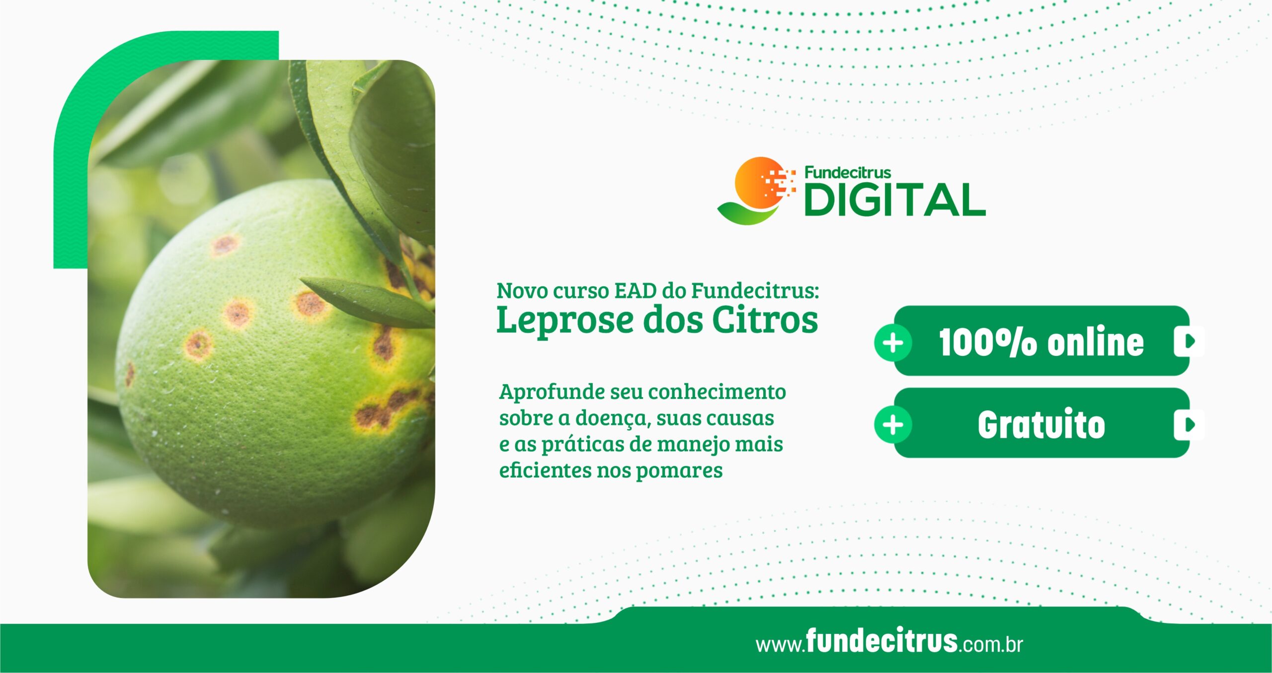Fundecitrus lança curso EAD sobre leprose dos citros