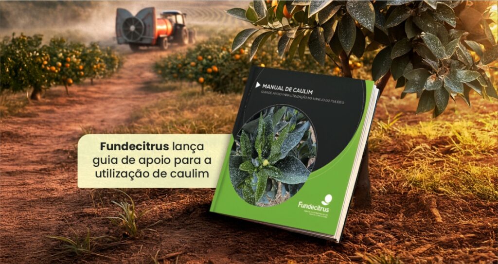 Fundecitrus lança guia de apoio para a utilização de caulim