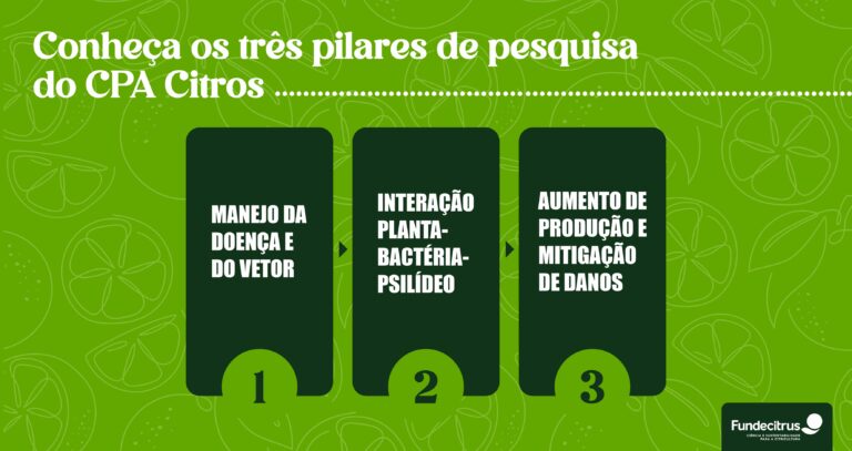 Conheça os três pilares de pesquisa do CPA Citros