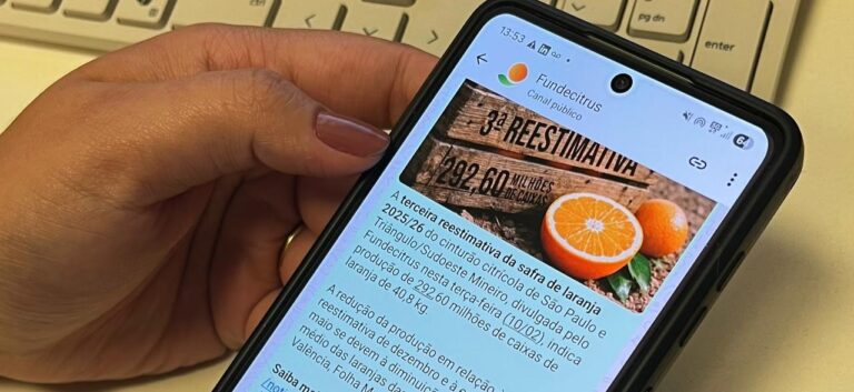 Fundecitrus lança canal no WhatsApp para ampliar acesso a informações da citricultura