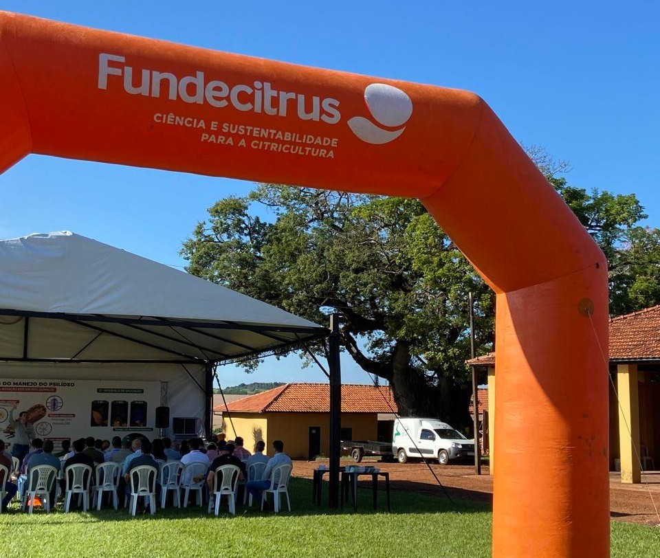 Dia de Campo em Botucatu (SP) destacou os pilares do manejo do psilídeo
