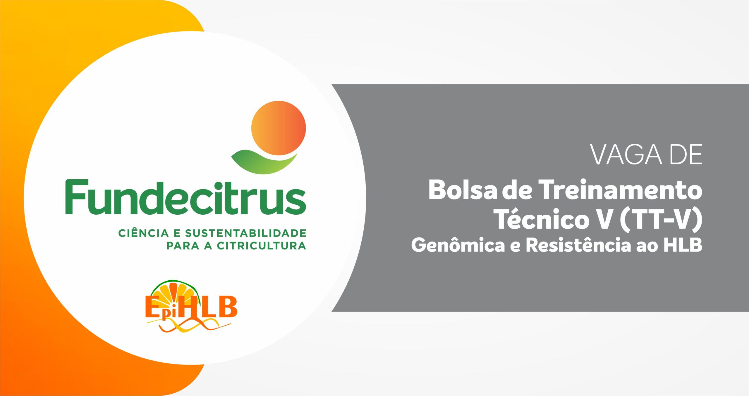 Fundecitrus tem vaga aberta de Treinamento Técnico V (TT-V) na área de Genômica e Resistência ao HLB