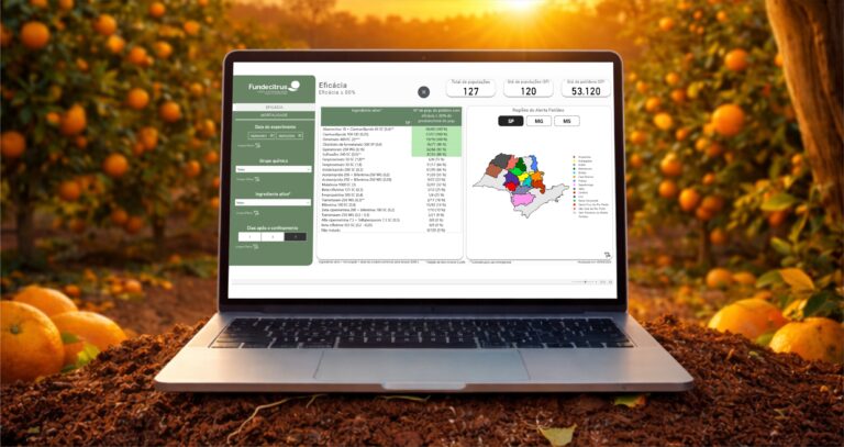 Avalia Psilídeo: nova atualização traz dados de seis regiões, em MS e SP