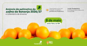 Safra da laranja 2026/27: Fundecitrus fará anúncio de estimativa no dia 8 de maio