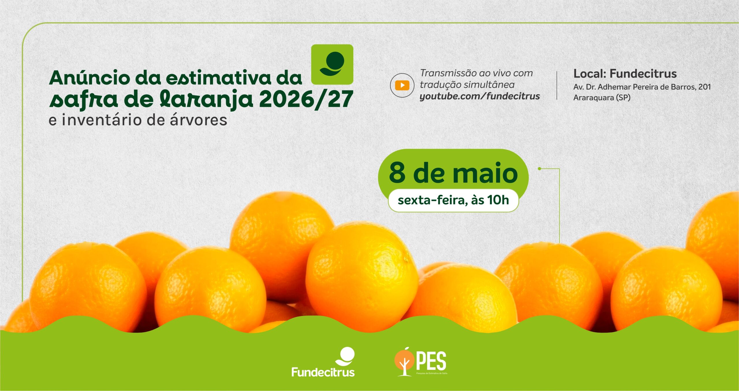 Safra da laranja 2026/27: Fundecitrus fará anúncio de estimativa no dia 8 de maio