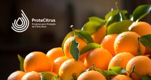 ProteCitrus - atualização 15.04.2026