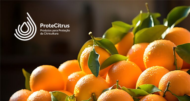 ProteCitrus - atualização 15.04.2026