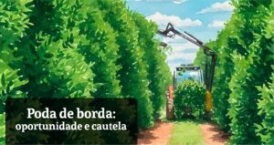 Poda de borda: oportunidade e cautela