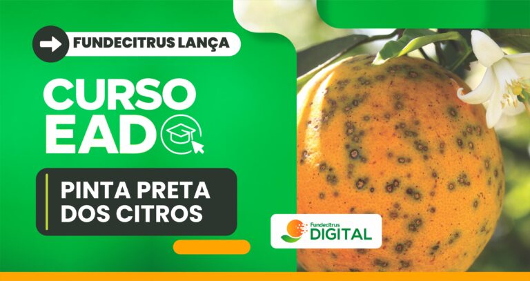 Fundecitrus lança curso EAD sobre pinta preta dos citros