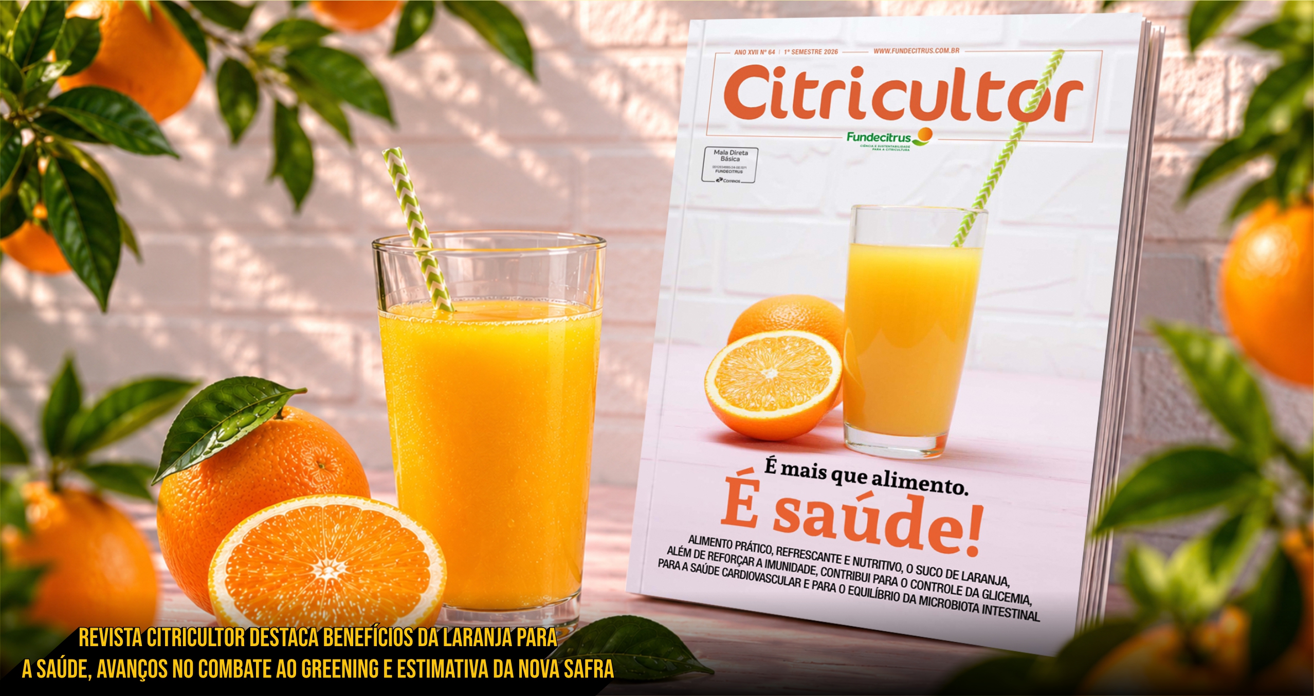 Revista Citricultor destaca benefícios da laranja para a saúde, avanços no combate ao greening e estimativa da nova safra